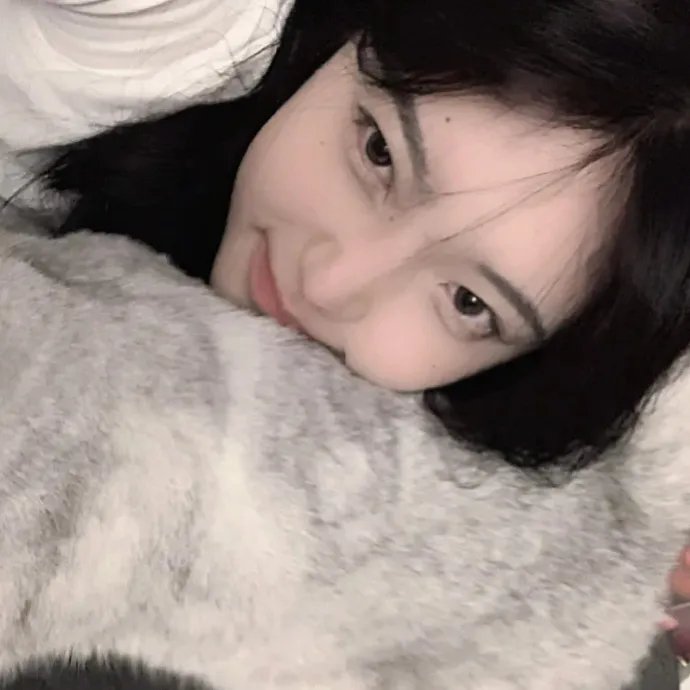 顽皮豹之子